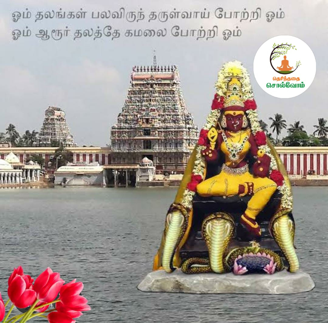 இன்றைய கோபுர தரிசனம்...!!!!