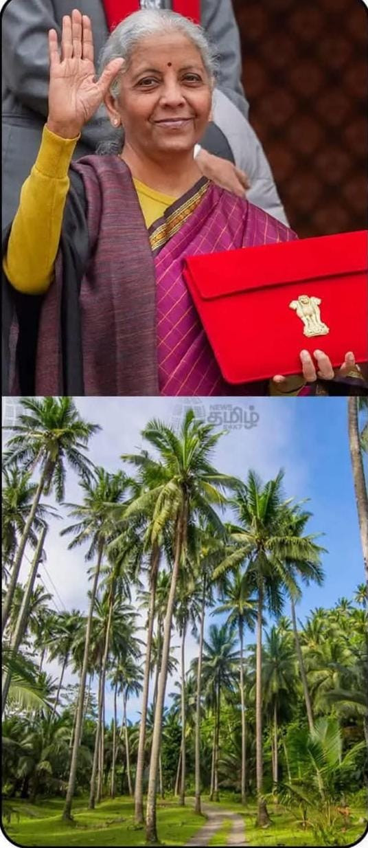 தமிழக தென்னை விவசாயிகளுக்கு ஜாக்பாட்  - பட்ஜெட்டில்மத்திய அரசு  அதிரடி. 