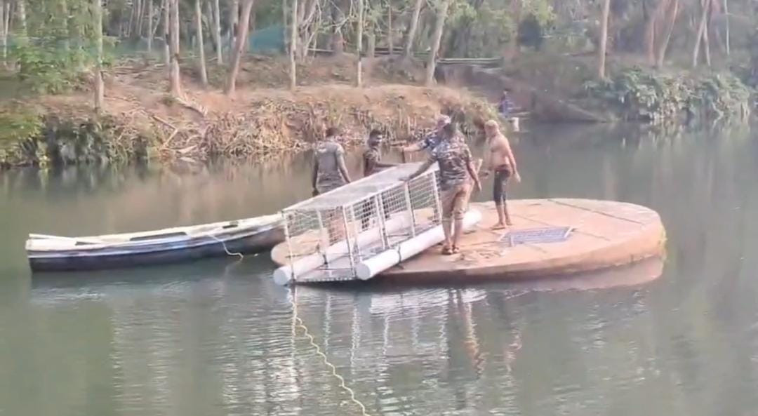 முதலையை பிடிக்க நடவடிக்கை -  பொதுமக்களுக்கு வனத்துறை அறிவுறுத்தல்  ! 