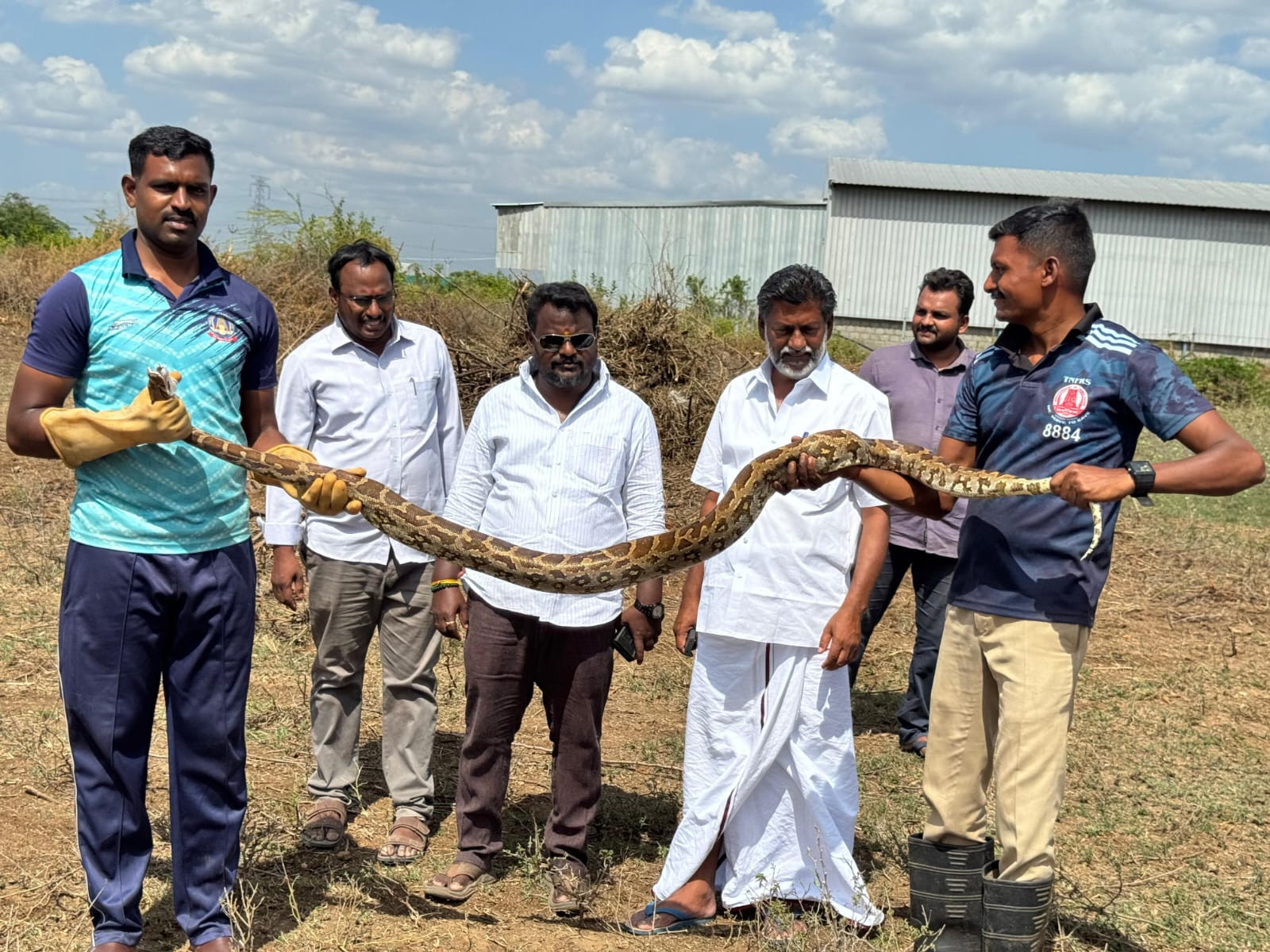 10 அடி நீள மலைப்பாம்பு...! பதறிப்போன விவசாயிகள்....! வனத்துறையினரிடம் ஒப்படைப்பு...!