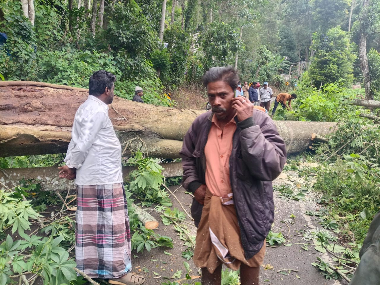 கொடைக்கானலில் பொதுமக்கள் பெரும் அவதி...! முனைப்புடன் செயல்பட்ட அதிகாரிகள்...!