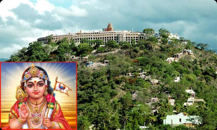 பழனியில் வைகாசி விசாகத் திருவிழா நாளை துவக்கம்...!!!
