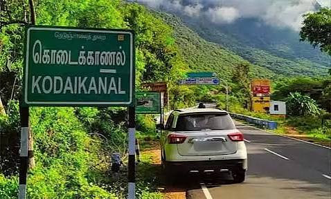கொடைக்கானல் மலைப்பாதையில் அட்டகாசம்...! வாகன ஓட்டிகள் கடும் பீதி...!