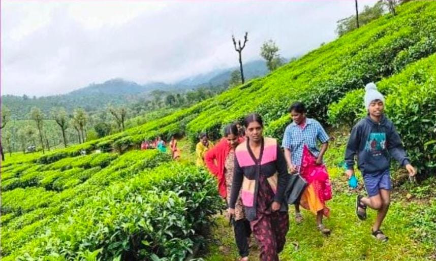 சிறுத்தை இழுத்துச் சென்ற சிறுமியின் உடல் மீட்பு...!!!