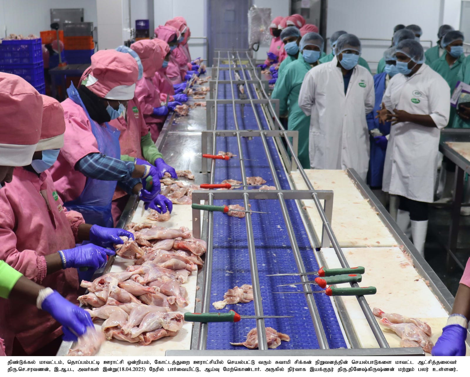 திண்டுக்கல் மாவட்டம் ஆட்சியர் - அன்னை இளம்புழு வளர்ப்பு