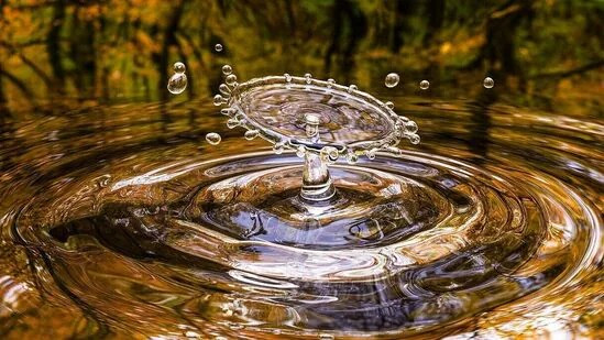 உலக தண்ணீர் தினம் இன்று - தண்ணீரை சேமிப்போம் :