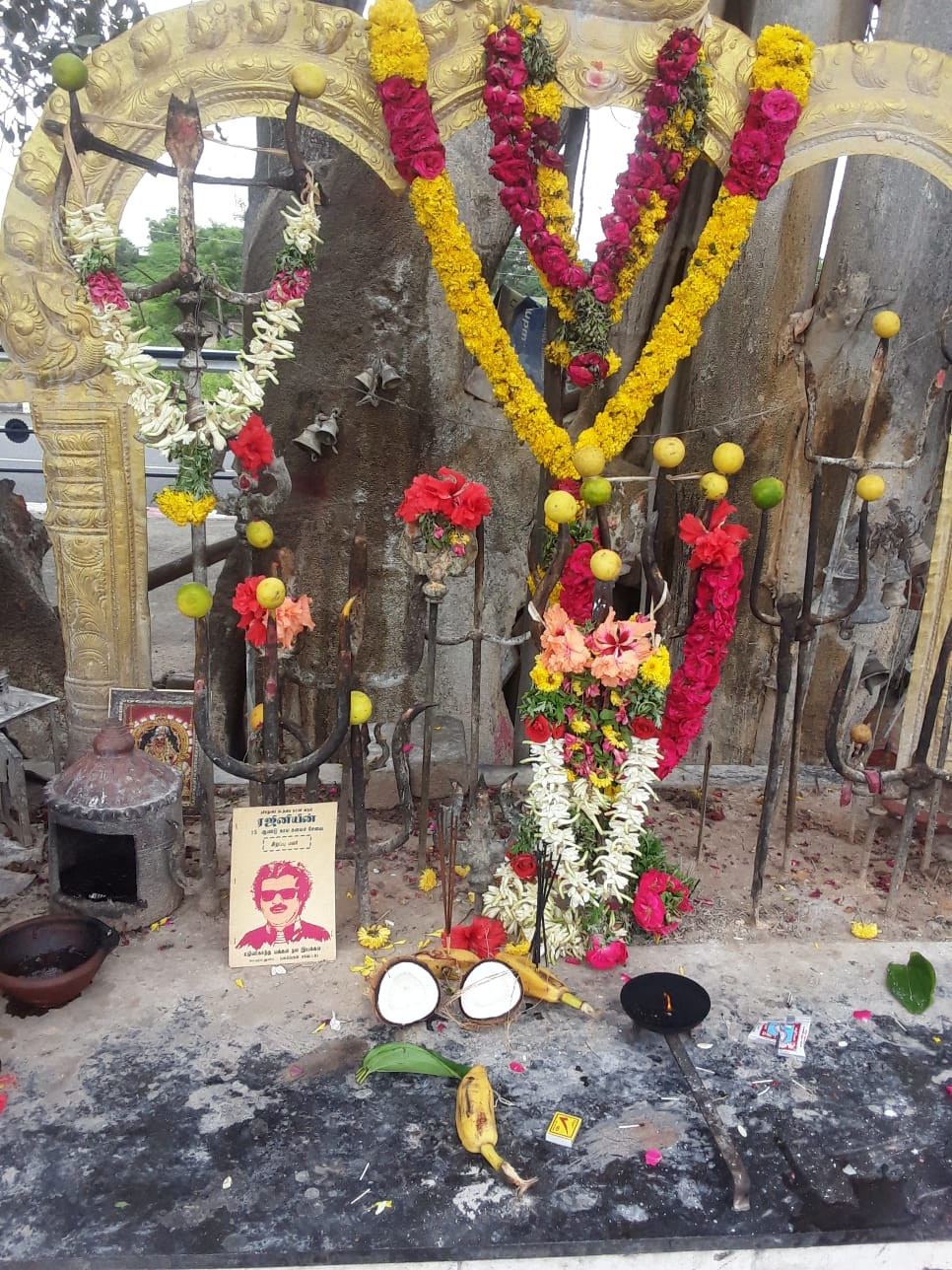 ஆலமரம் சாய்ந்தது....!!?  பக்தர்கள் வேதனை...!!!