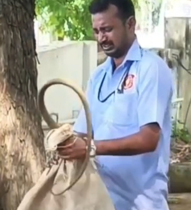 திருக்கோயில் தலைமை அலுவலக வளாகத்தில் பாம்பு...!!!!