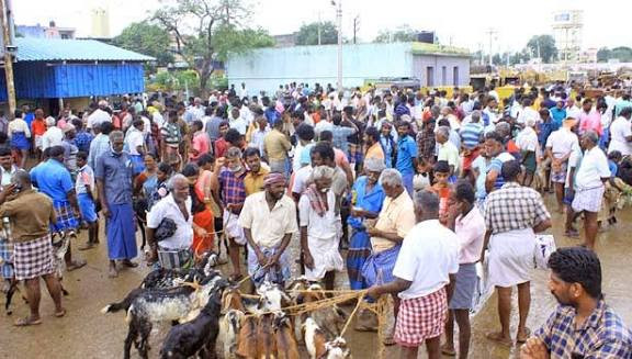 ஒரே நாளில் ரூ.10 கோடிக்கு ஆடுகள் விற்பனை..! வியாபாரிகள் மகிழ்ச்சி...!